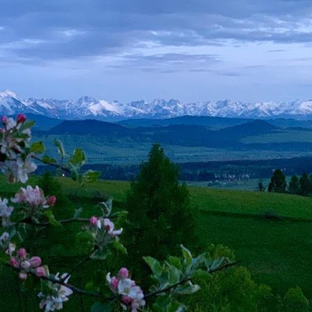 Koza U Woza Wypocznij W Gorach W Rytmie Slow Drewniany Dom Premium Z Widokiem Na Panorame Tatr Ecospa Strefa Fitness Zielona Farma Warsztaty (Adults Only) Szlembark Exterior foto