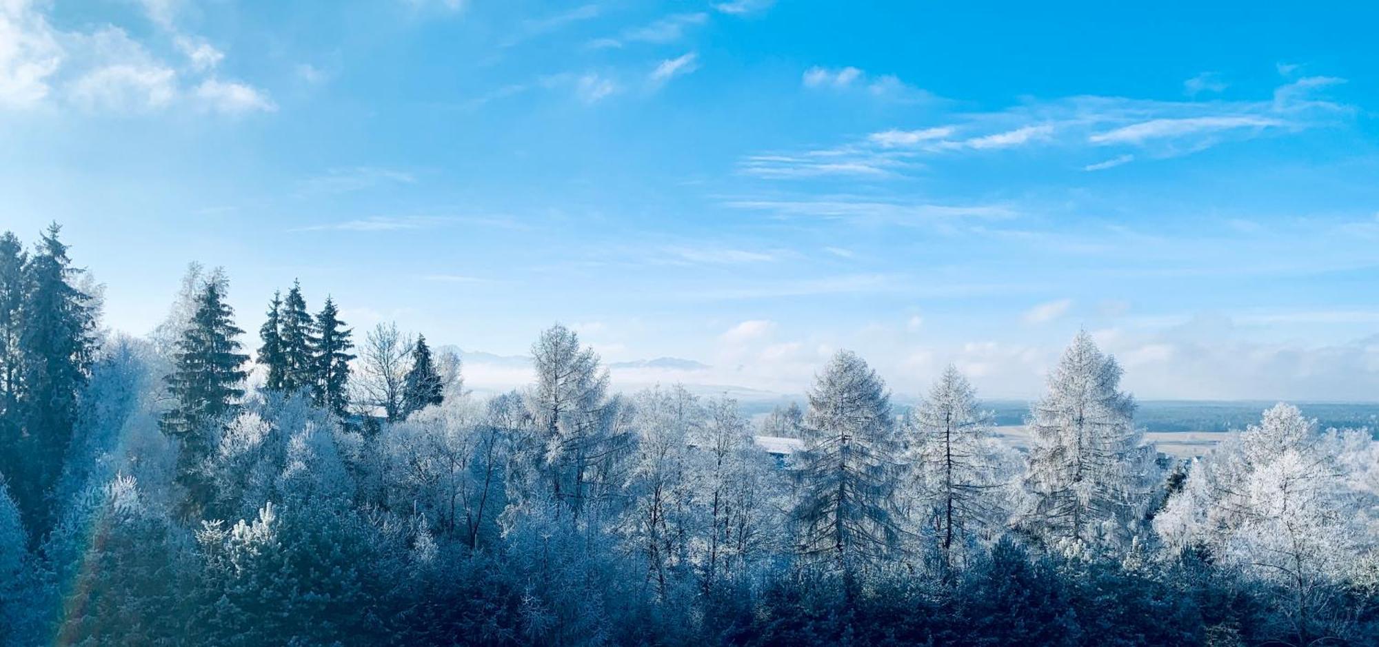 Koza U Woza Wypocznij W Gorach W Rytmie Slow Drewniany Dom Premium Z Widokiem Na Panorame Tatr Ecospa Strefa Fitness Zielona Farma Warsztaty (Adults Only) Szlembark Exterior foto