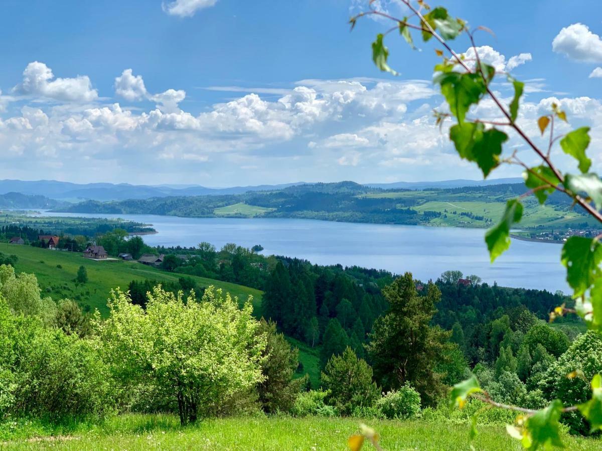 Koza U Woza Wypocznij W Gorach W Rytmie Slow Drewniany Dom Premium Z Widokiem Na Panorame Tatr Ecospa Strefa Fitness Zielona Farma Warsztaty (Adults Only) Szlembark Exterior foto